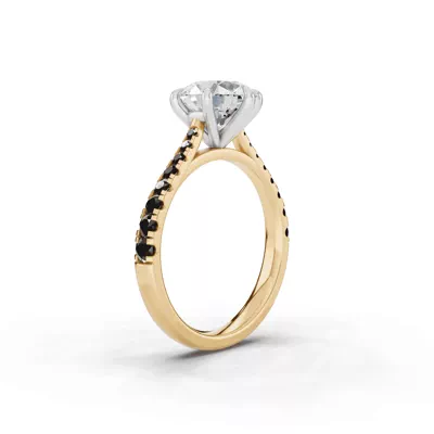 Tradition Cathedral Black Diamond Two-Tone Engagement Ring (0.35 ct. tw.)