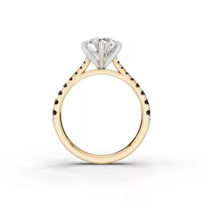 Tradition Cathedral Black Diamond Two-Tone Engagement Ring (0.35 ct. tw.)
