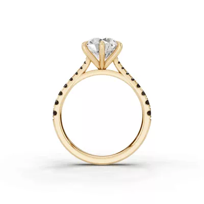 Tradition Cathedral Black Diamond Engagement Ring (0.35 ct. tw.)