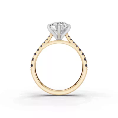Tradition Cathedral Sapphire Two-Tone Engagement Ring (0.35 ct. tw.)
