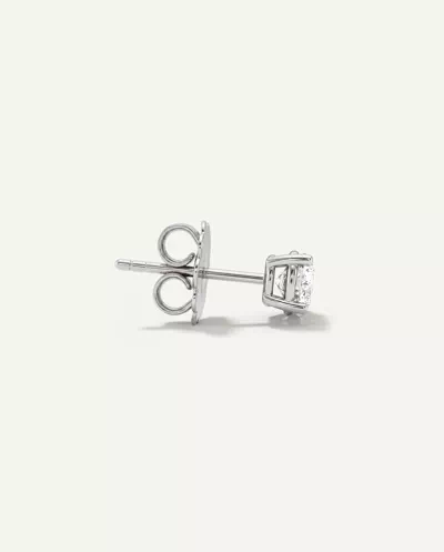 Lab Diamond Silver Stud Earrings (.50 ct. tw.)