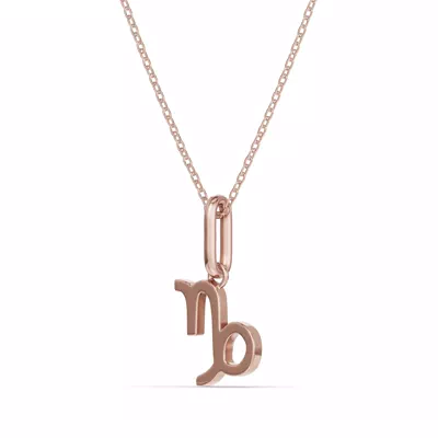 Capricorn Zodiac Glyph Necklace