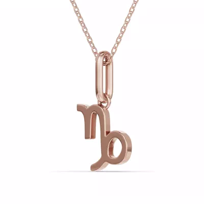 Capricorn Zodiac Glyph Necklace
