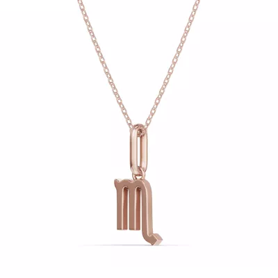 Scorpio Zodiac Glyph Necklace