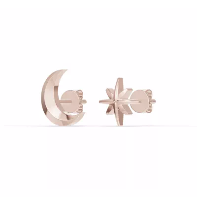 Astril Moon & North Star Earrings