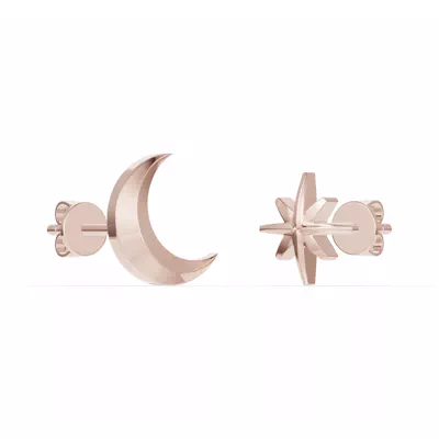 Astril Moon & North Star Earrings