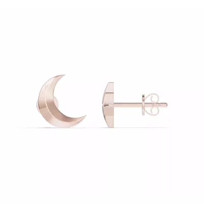 Astril Moon & North Star Earrings