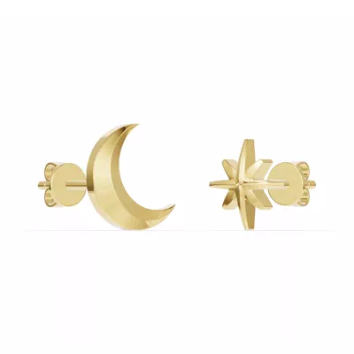 Astril Moon & North Star Earrings