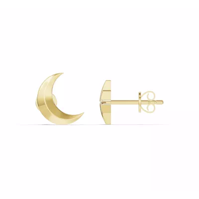 Astril Moon & North Star Earrings
