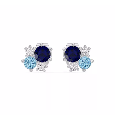Midnight Frost Sapphire Lab Stud Earrings
