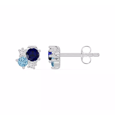 Midnight Frost Sapphire Stud Earrings