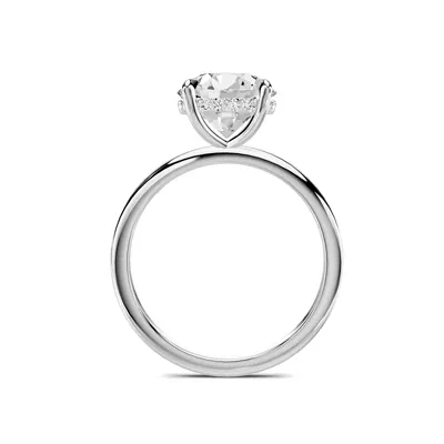 Avalon Classic Hidden Halo 2.50 ct. Round Lab Engagement Ring - Platinum