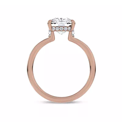 Marcelle Lab Diamond Accent Hidden Halo Engagement Ring