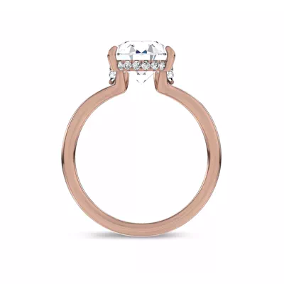 Marcelle Lab Diamond Accent Hidden Halo Engagement Ring