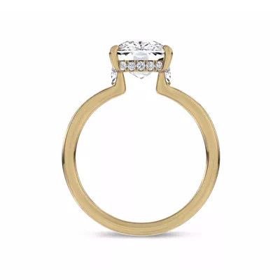 Marcelle Lab Diamond Accent Hidden Halo Engagement Ring