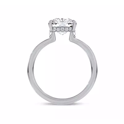 Marcelle Lab Diamond Accent Hidden Halo Engagement Ring